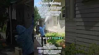 Roof blow-offs 🍃 stop migration before rain does the moving #PreventiveCare