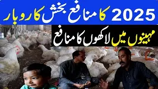 2025 profitable business in Pakistan || How to start Poultry farming | Broiler Farming business plan