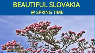 BEAUTIFUL SLOVAKIA @ SPRING TIME - EXPLORING BEAUTIFUL NATURE & RELAXING SOUND ( SHORT TRIP PART#1)