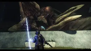 SOLO Riven! (Arc buff) Destiny 2