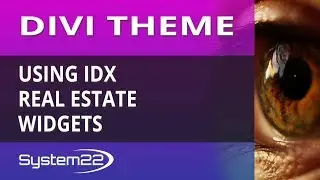 Divi Theme Using IDX Real Estate Widgets