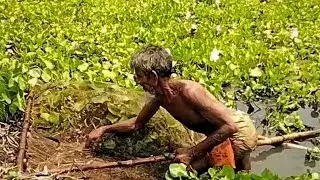 Asian village people fishing || Horn fishing net in the village pond #fishing #netfishingvideo