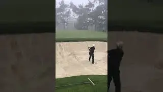 #bunkershots #shortgame #pebblebeach #golftrees #golffog