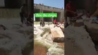26 October 2022 | PALAVALLI | PAVAGADA