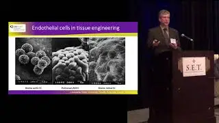 Novel Tissue Engineering in 3D Stent & Vascular Prosthetic Design