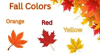 Colors of Fall Song  | Learn Colors with Autumn Leaves | Preschool Songs | Nursery Rhymes for kids