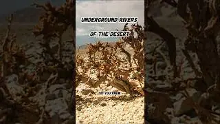 Underground Rivers of the Desert: The Ancient Qanat Waterways