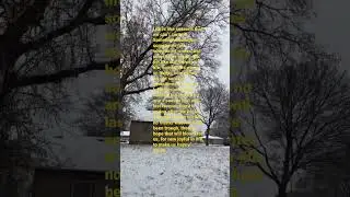 A message for winter. #shorts #short #shortvideo #winter #snow #season #message #life