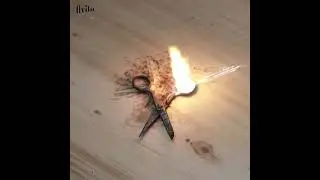 Laser Cleaning Of Rusty Old Scissors #shorts