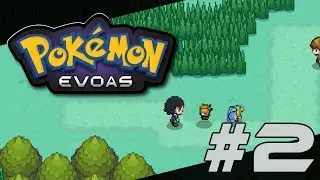 Pokemon Evoas Spotlight - Ep.2 