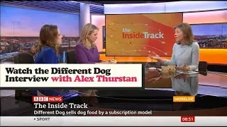 Interview with Alex of Different Dog | Natural Healthy Handcooked Dog Food