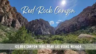 Hiking NEVADA : Ice Box Canyon Trail | Red Rock Canyon National Conservation Area | 4K