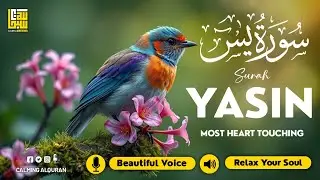 Surah Yasin (Yaseen) سورة يس ✦ Heart-Touching Recitation ✦ Relaxing Holy Quran For Sleep & Relaxatio