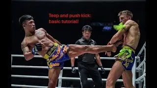 Teep push kick tutorial