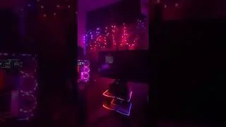 SignalRGB did not sponsor this video