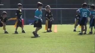 Steelers 10.3 (9)