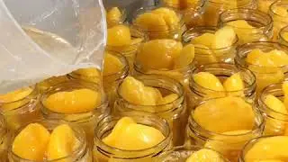 2018 Di Camillo Peaches Niagara