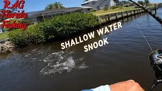 Springtime South Florida Snook Fishing!!! RAG RANT...I COULD'NT TAKE IT ANYMORE!!!!!!!
