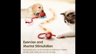 Fluffy Tail Frenzy! Your Cat Will Go Nuts for This Automatic Ball!