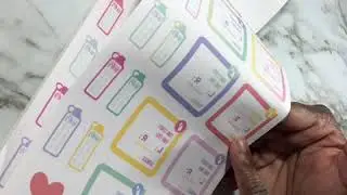 Happy Planner Pregnancy Sticker Book
