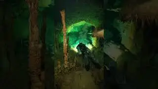 Lost in The Jungle near Tulum.. Amazing Colors! #cavediving #explore #underwater #cenotes #mexico