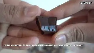 POLISH Vegan Chocolate Review | Gluten Free Dairy Free Cocoa Fudge Bar Taste Test