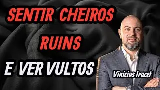 SENTIR CHEIROS RUINS E VER VULTOS 