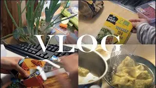 德国留学vlog#05 正所谓越没空越做饭