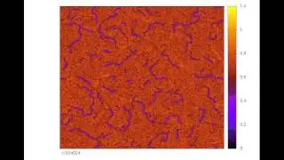 Evolution of defect lines