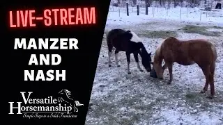 🔴 MANZER AND NASH