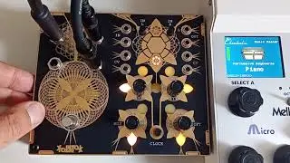 Folktek Alter Y pedal demo on Mellotron Micro piano & harp - no talking