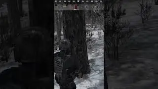 -3🤘😁#выживание #моменты #dayz #wildgoose #стрим #игрынапк #тарков #gameschannel
