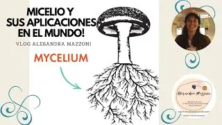 EL MICELIO 🍄 🍄. Y SUS APLICACIONES EN EL MUNDO!