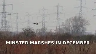 Minster Marshes in December