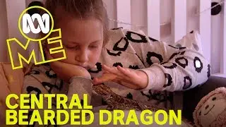 Petography: Central Bearded Dragon