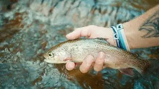 Fly Fishing in EXTREME Summer Heat - Cinematic Fly Fishing
