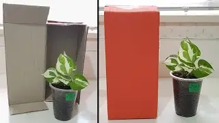 DIY Plant Boxes for Shipping (part 1)