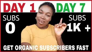 How to get over 1000 organic subscribers in 7 days