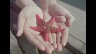 Pooling Rain - variety