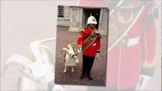 В джазе только козлики. - Goats & Sax