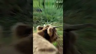 #spa&szlig;amleben