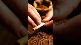 all about timelaps , Chocolate , all type, all tag Handrolled cigarettes in 202601042333 1p1jk