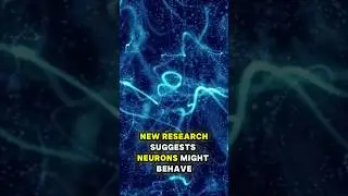 Is Your Brain Actually Quantum? #quantummind