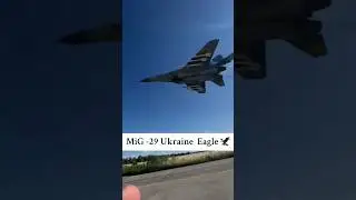 Ukrainian pride🦅🫡