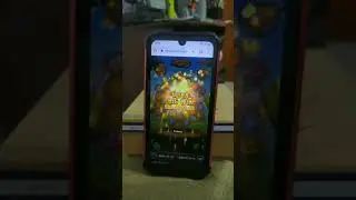 Max Win Honey Rush 100