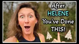 🎄Рождественское чудо от HELENE Giving Tree 2025! #helene #newland #thegivingtree #thankyou