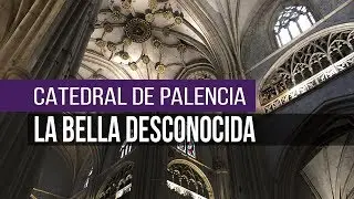 La Catedral de Palencia, la Bella Desconocida