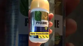 SUMITOMO NEW INSECTICIDE #shortsvideo #insecticides #royalshetkari #suyashkrushi