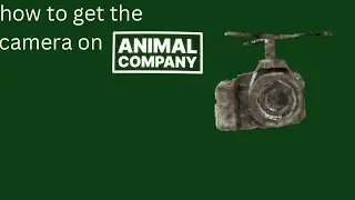 How to get the camera on animal company ￼