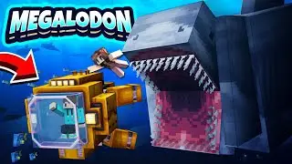 24 JAM AKU DAN ISTRIKU BERBURU MEGALODON MULUT PALING BESAR